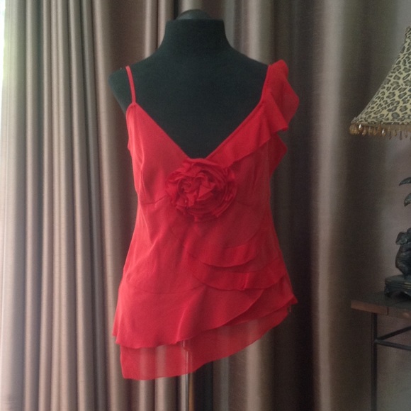 Silk and Spandex Top