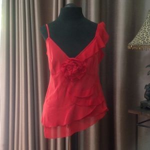 Silk and Spandex Top