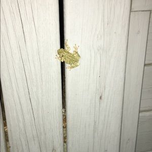 Meet your Posher, Mikayla