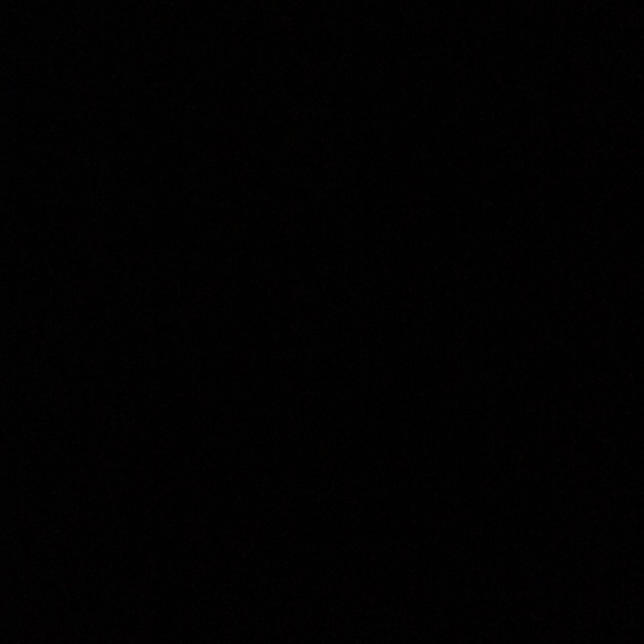 Meet your Posher, Abbey - Picture 1 of 1