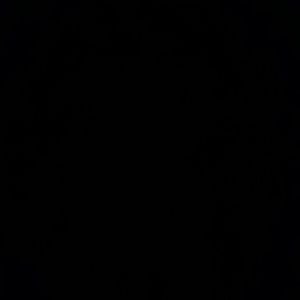 Meet your Posher, Carl