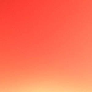 Meet your Posher, Corrine