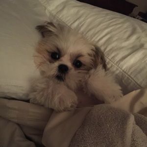 Meet your Posher, Heather