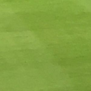 Meet your Posher, Paul