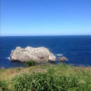 Meet your Posher, Jean