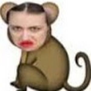 Meet your Posher, Autumn