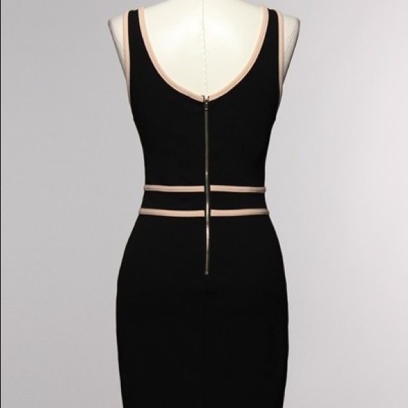 Bodycon, contrasting piping dress - Picture 2 of 2