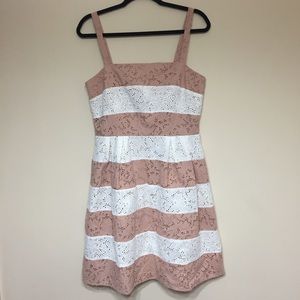 FINAL-Adorable LOFT Dress.