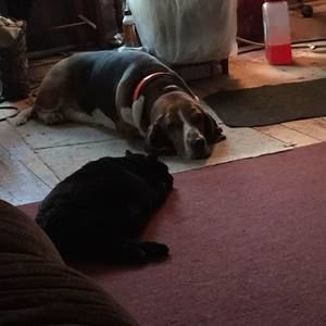 Meet your Posher, Sena