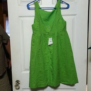 Size 6 petite kelly green J.Crew seersucker dress.