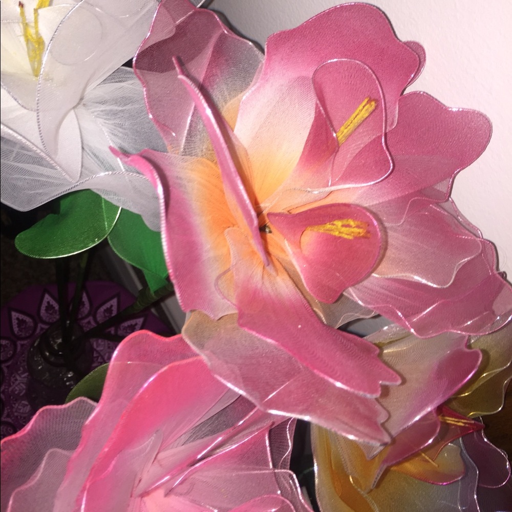 Meet your Posher, Celeste