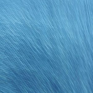 Meet your Posher, Isaiah