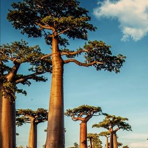 Meet your Posher, Mohammed