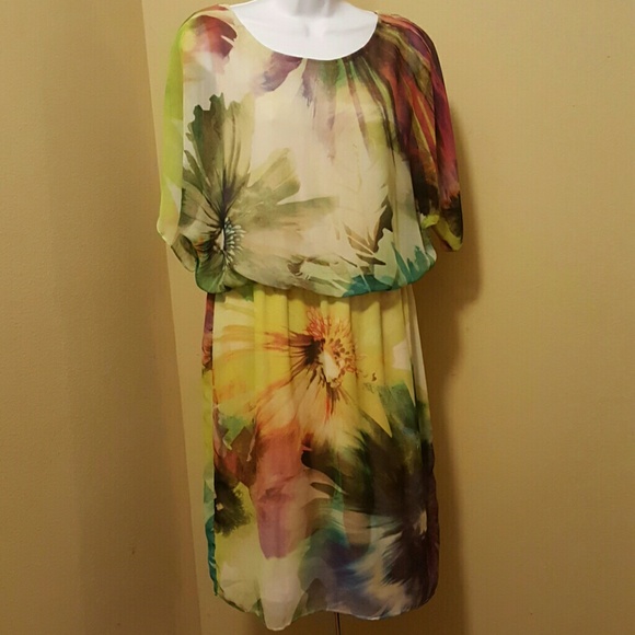 Ronnie Nicole Dress