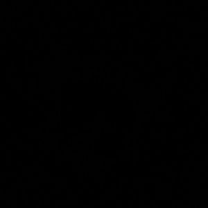 Meet your Posher, Indira