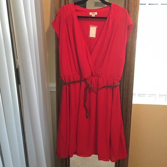 NWT Cato's Dress