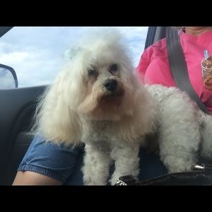 Meet your Posher, Janet