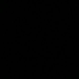 Meet your Posher, Sandi