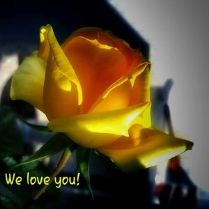 Meet your Posher, Dave