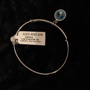 Alex and Ani March Birth Month Charm Bangle