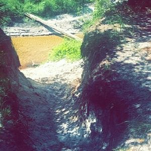 Meet your Posher, Nene