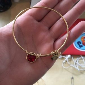 Alex and Ani Bracelets Combo