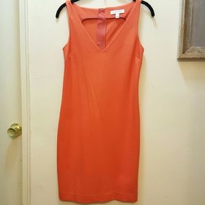 Banana Republic V-neck Dress