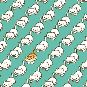 Meet your Posher, Delsinay