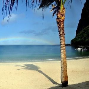 Meet your Posher, Janice