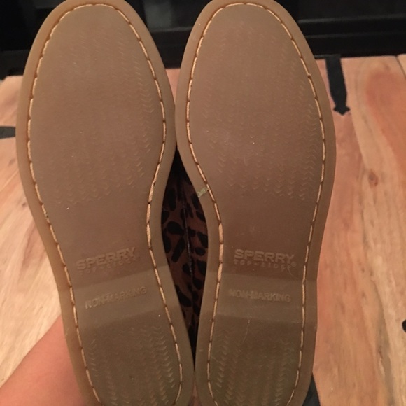 Leopard Sperry - Picture 4 of 4