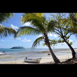 Meet your Posher, Shira