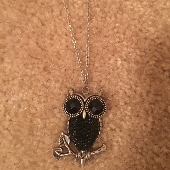 Long chain, owl pendant necklace