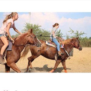 Meet your Posher, Alexa