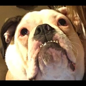 Meet your Posher, Rodney