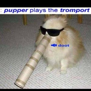 Meet your Posher, Karla