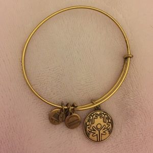 Alex and Ani Bracelet