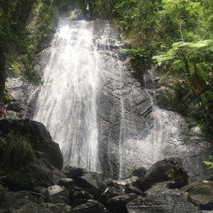 Meet your Posher, Danny