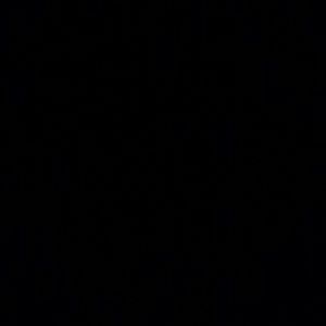 Meet your Posher, Mayson