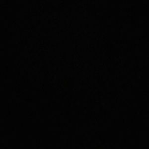 Meet your Posher, Alondra