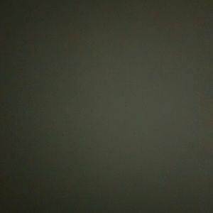 Meet your Posher, Tabitha