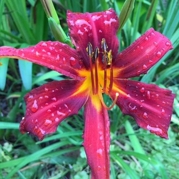 Meet your Posher, Margie