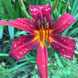 Meet your Posher, Margie