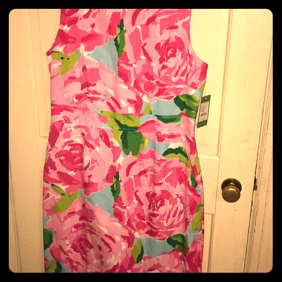 HPFI Collins dress new with tags size 14 perfect