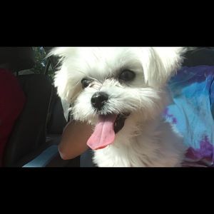 Meet your Posher, Natalia