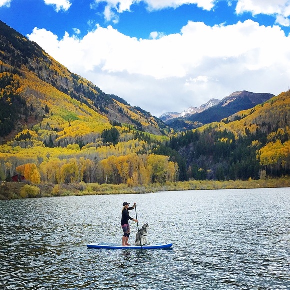 Meet your Posh Ambassador, MJC🌻 - Picture 2 of 8