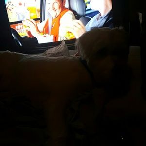 Meet your Posher, Jenni