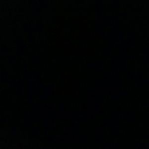 Meet your Posher, Van