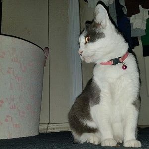 Meet your Posher, Cecilia