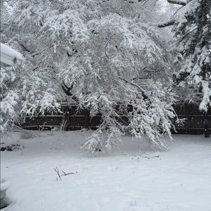 Meet your Posher, Suzanne