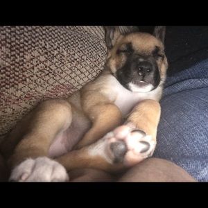 Meet your Posher, Lenelle